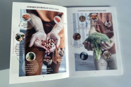 Projecten / Portfolio